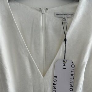 Dress the Population Ivory V-Neck Dress